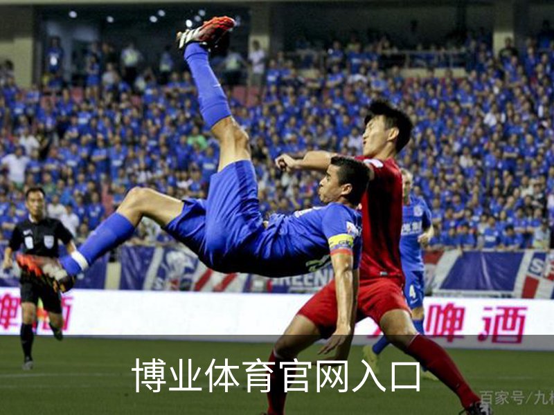 了解博业体育官网入口